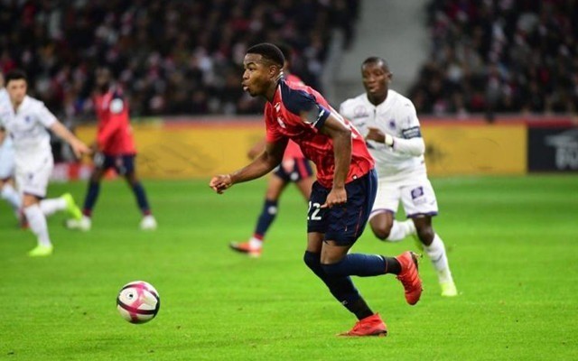 来新的活力 来新的活力